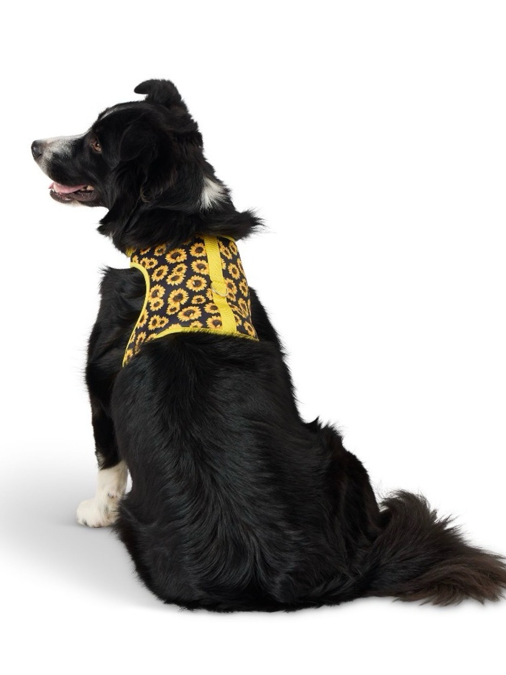 Top Paw Medium Sunflower Dog Harness Yellow Black Floral Adjustable